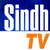 Sindh TV