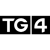 TG4, Irish TV channels